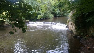 Brabyns Park